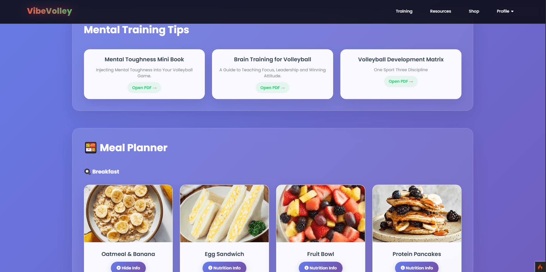 Volleyball Club Website